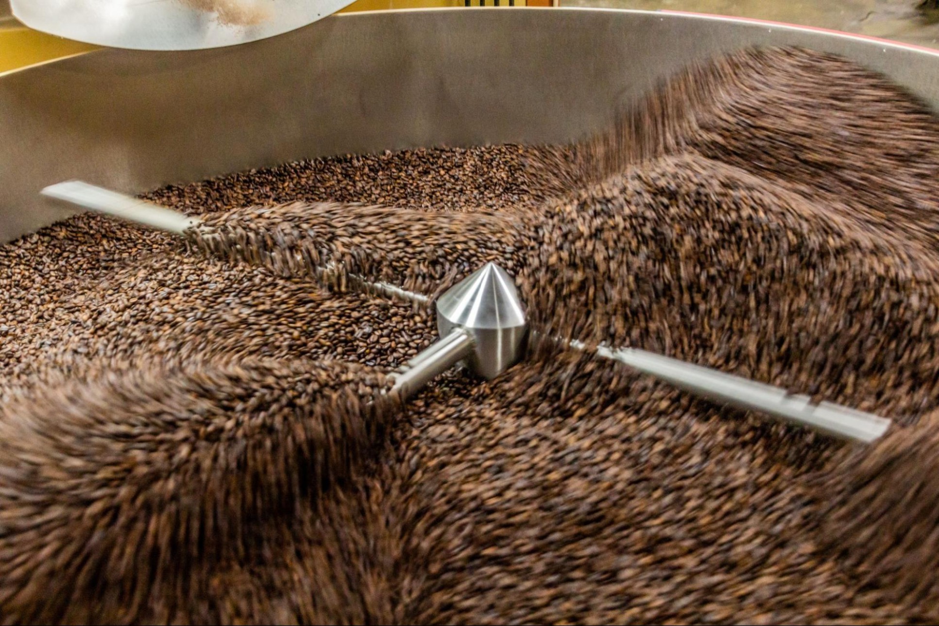 coffee dominican republic