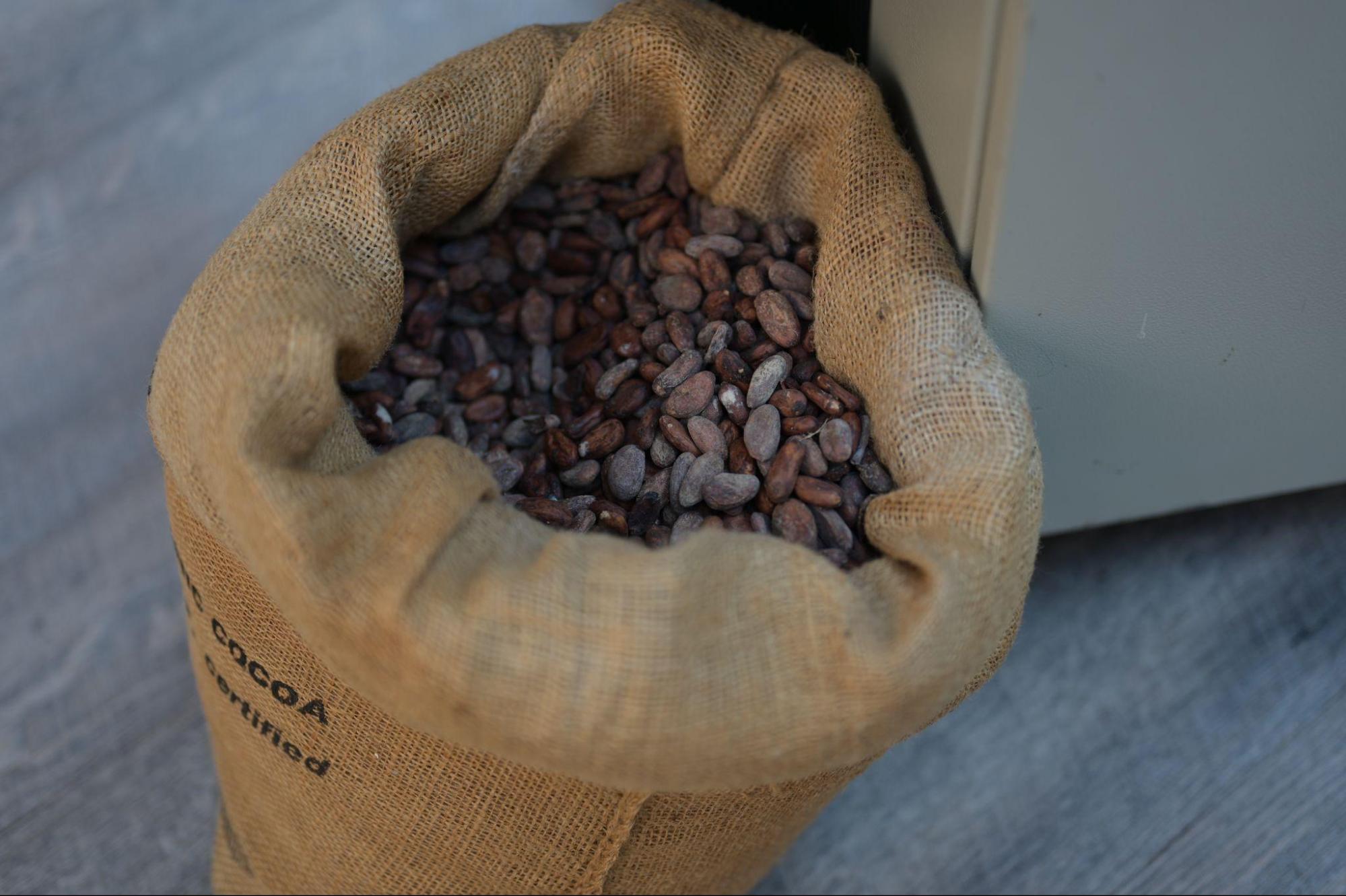 chocolate republica dominicana