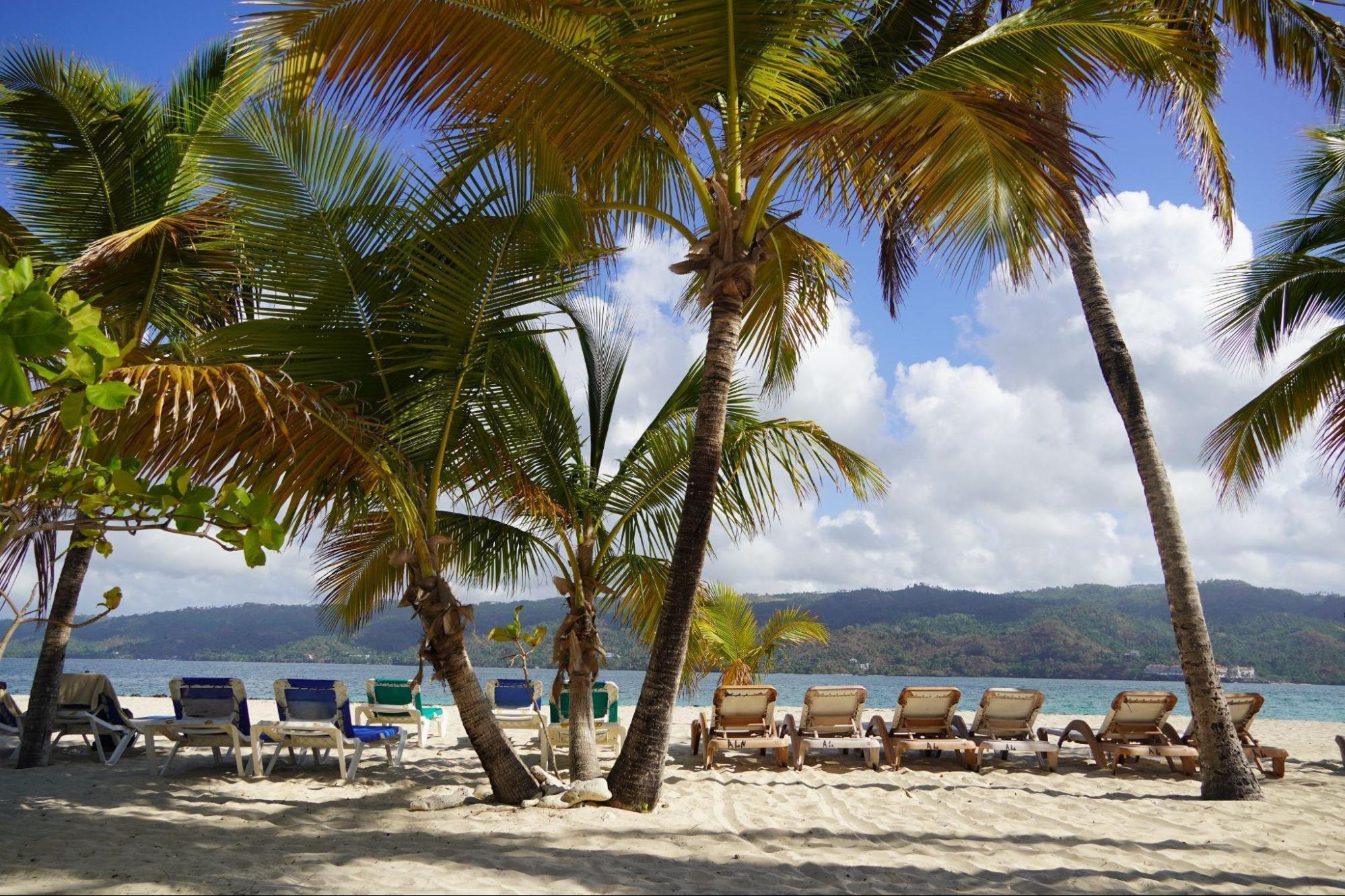 dominican republic temperature