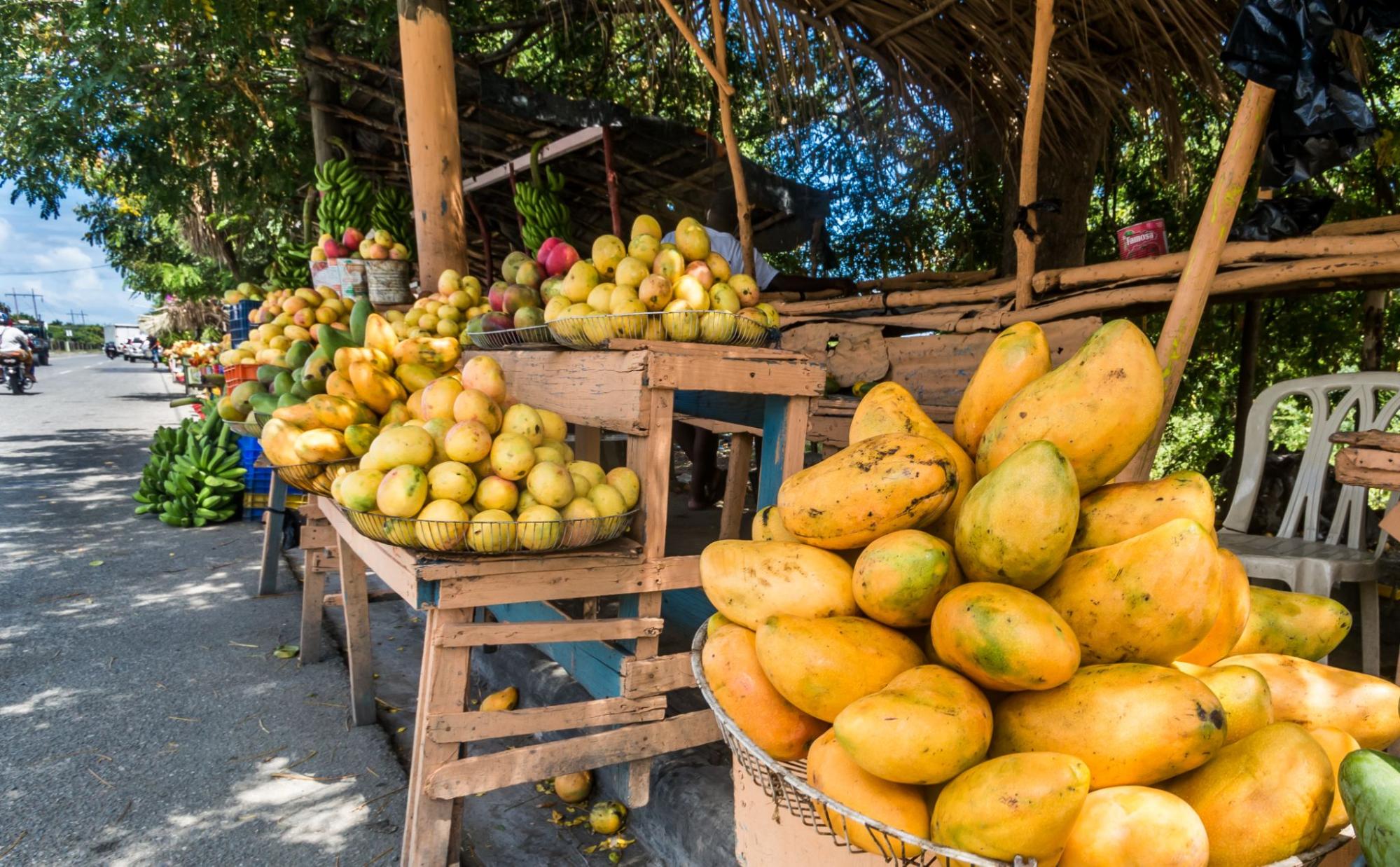 fruta republica dominicana